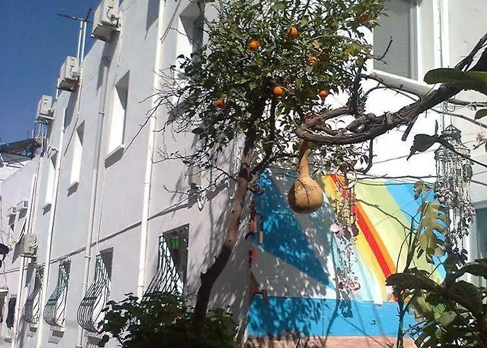 호스텔 Denizati Bodrum