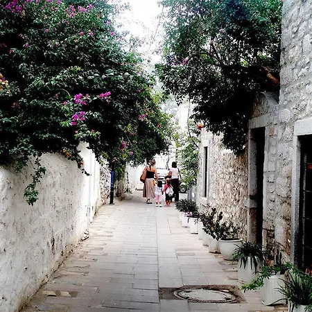 Denizati